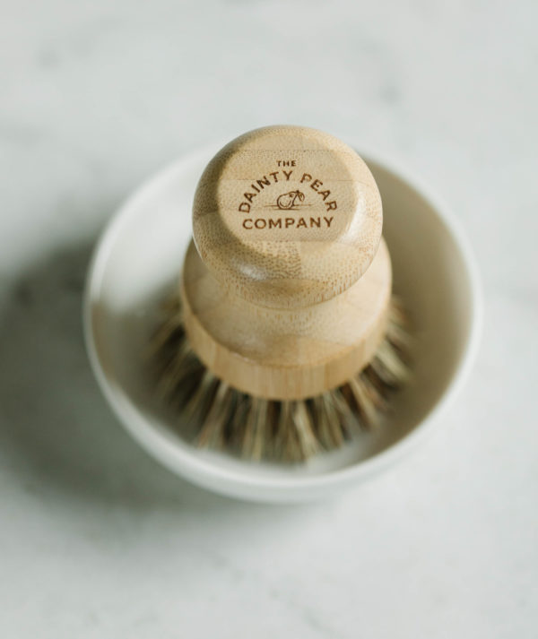 Brush with Dish