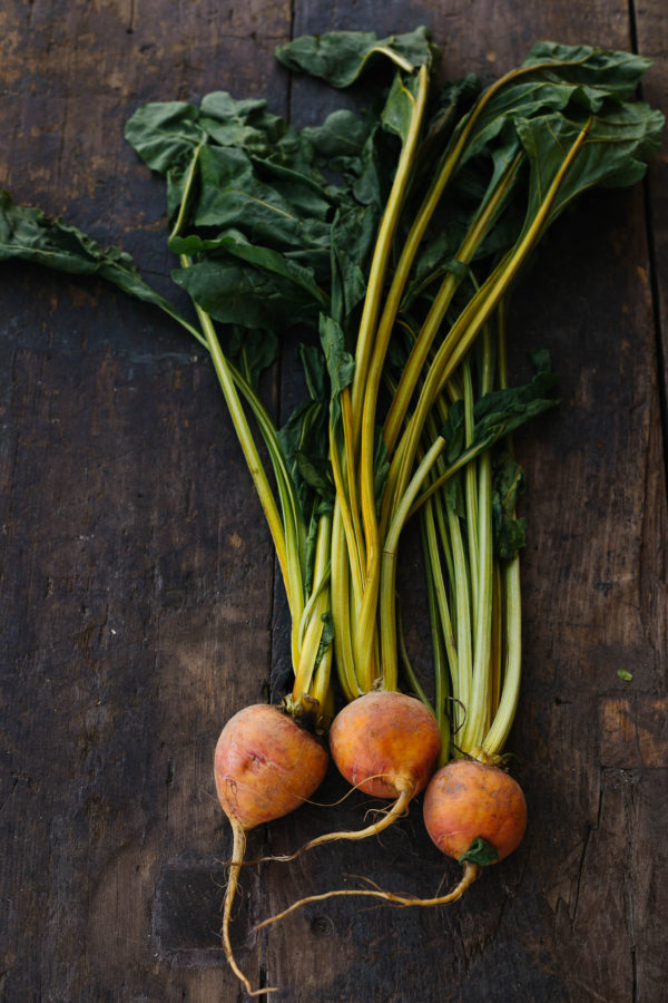 Grounded Cookbook - Image 5