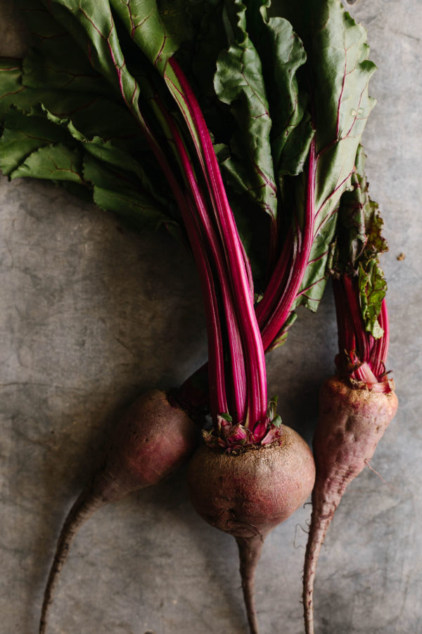 Grounded Cookbook - Image 3