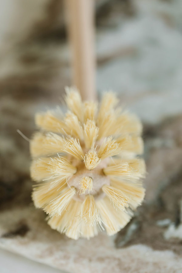 Long Bottle Brush - Image 3