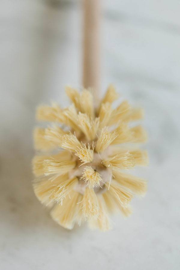 Long Bottle Brush - Image 4